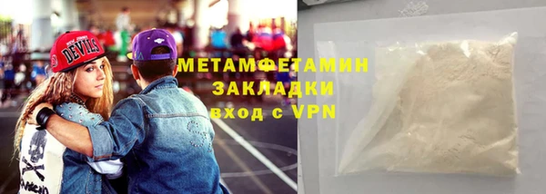 прущие грибы Александровское