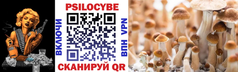 закладка Сосновка Галлюциногенные грибы Psilocybe